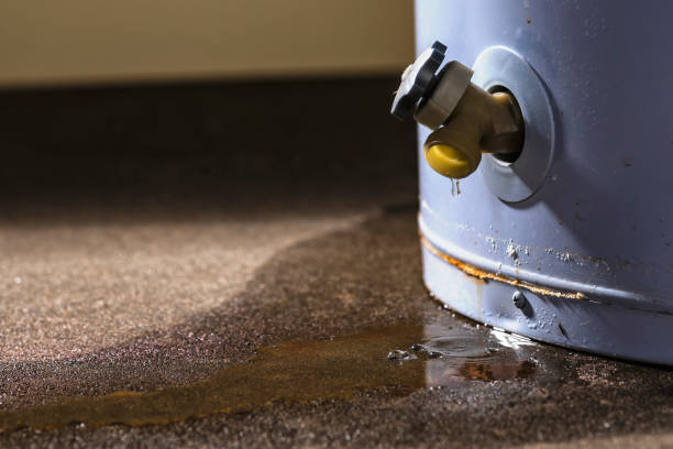 Best Water damage restoration experts  in Northfield, MN
