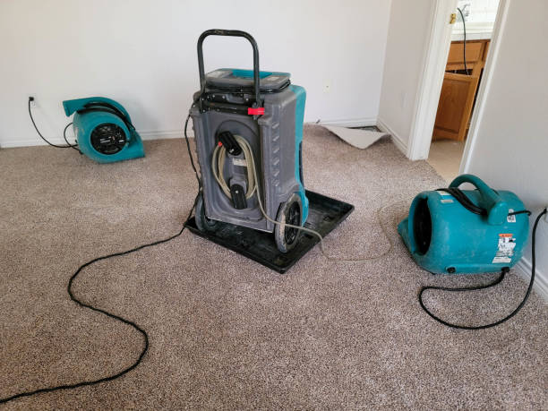 Best 24/7 water damage repair  in Northfield, MN