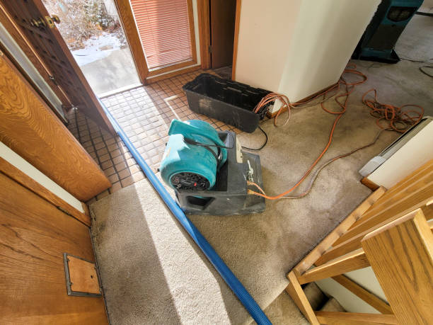 Trusted Northfield, MN Water damage restoration Experts