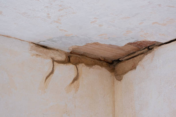 Best Water damage contractors near me  in Northfield, MN