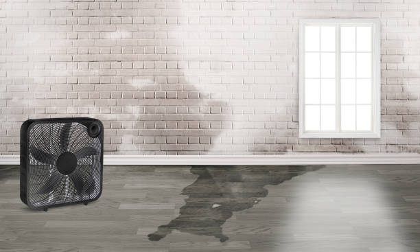 24/7 water damage repair in Northfield, MN