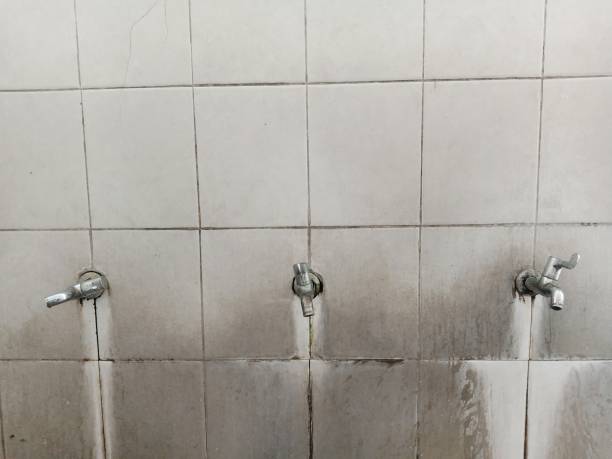 Best Water damage restoration company  in Northfield, MN