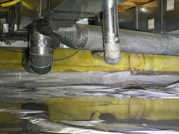 Best Flood restoration services  in Northfield, MN