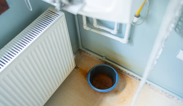 Best Flood damage cleanup  in Northfield, MN