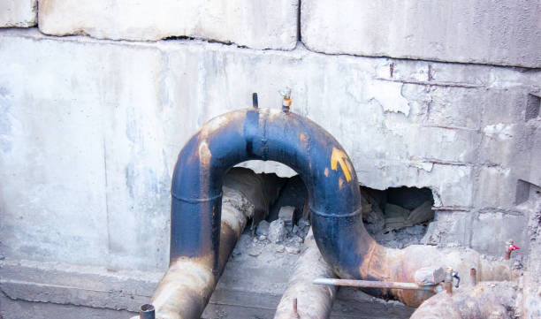 Best Residential water damage restoration  in Northfield, MN