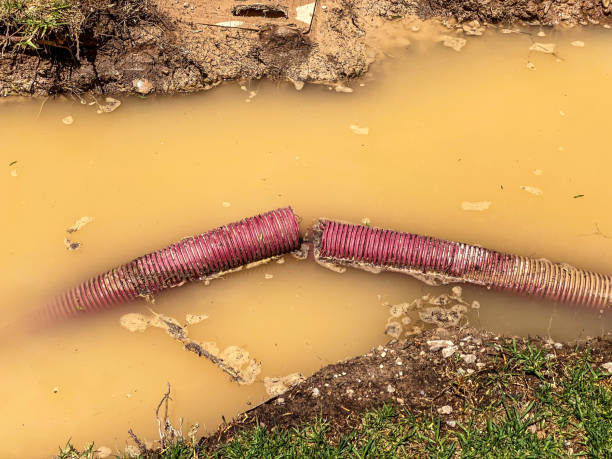 Best Emergency water damage restoration  in Northfield, MN