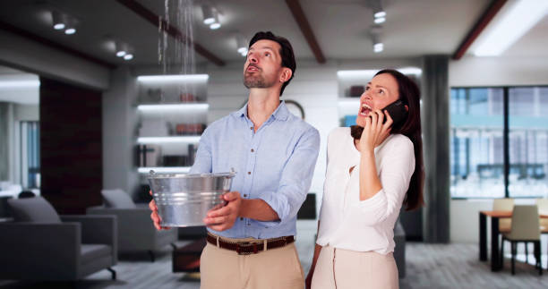 Best Flood damage cleanup  in Northfield, MN