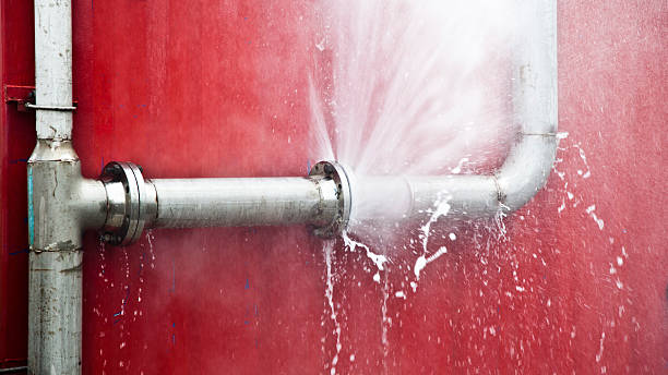 Best 24-hour water damage restoration  in Northfield, MN